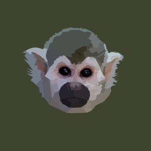 Capuchin Monkey